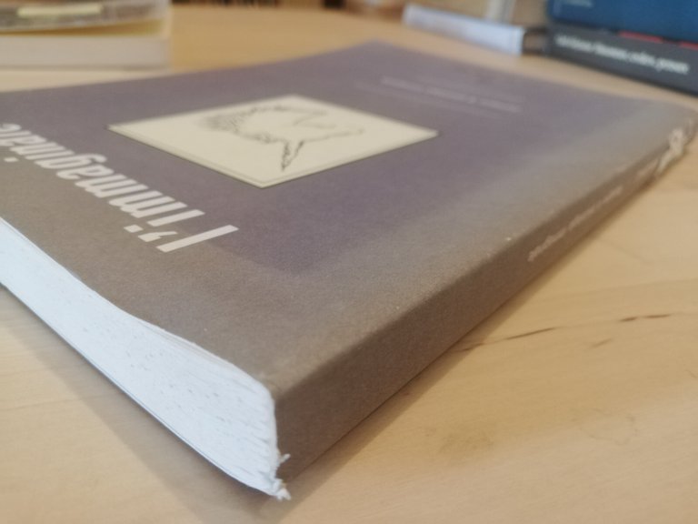 L'immaginale, numero 26, 1999 | Immagine Gallery 4