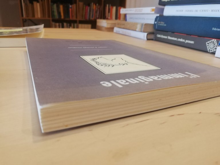 L'immaginale, numero 26, 1999 | Immagine Gallery 5