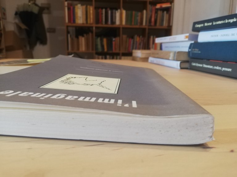 L'immaginale, numero 26, 1999 | Immagine Gallery 9