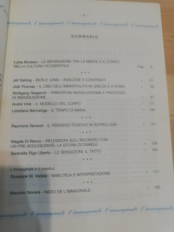 L'immaginale, numero 26, 1999 | Immagine Gallery 11