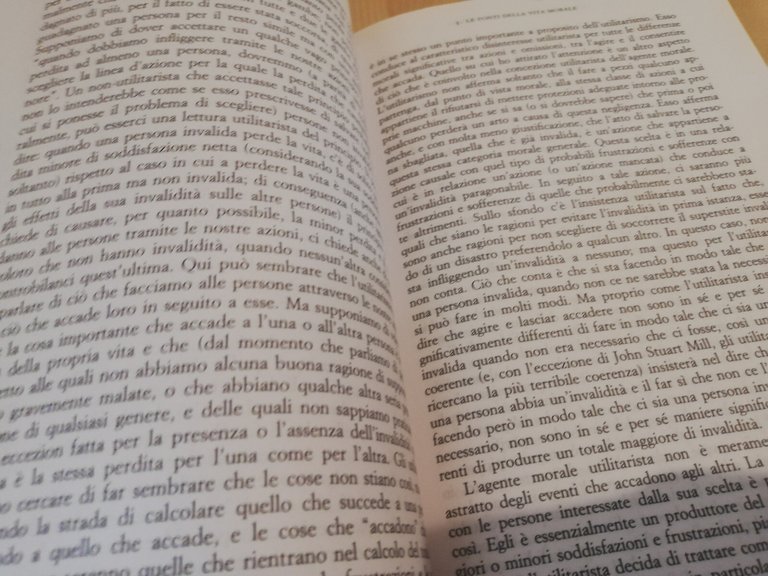 L'immaginazione e la vita morale, Cora Diamond, Carocci, 2006 | Immagine Gallery 20