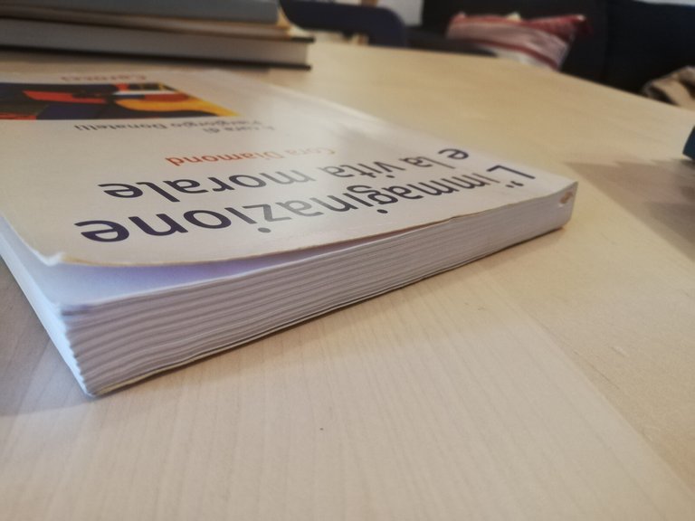 L'immaginazione e la vita morale, Cora Diamond, Carocci, 2006 | Immagine Gallery 6