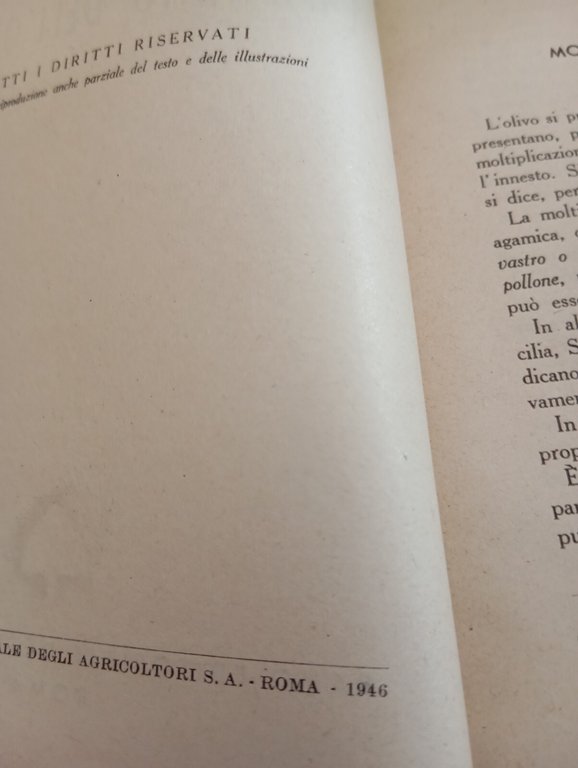 L'impianto dell'uliveto, M. Marinucci, Ramo editoriale degli agricoltori, 1946 | Immagine Gallery 16