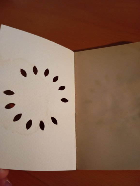 L'incantatrice The Enchantres Robert L. Stevenson, 1990, Biblioteca del vascello