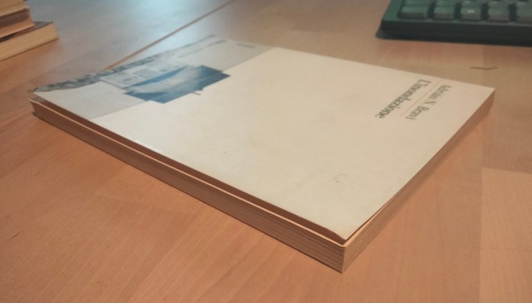 L'inondazione, Adrian N. Bravi, Nottetempo, 2015