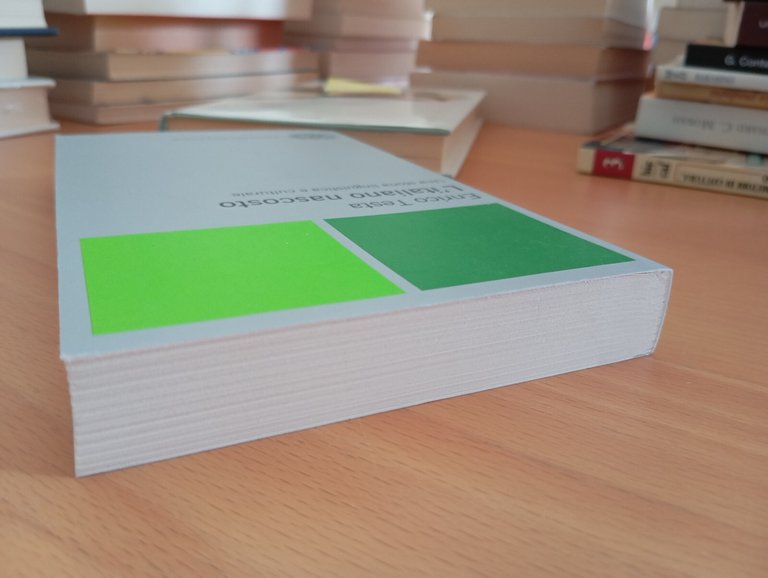 L'italiano Nascosto Una storia linguistica e culturale Enrico Testa Einaudi …