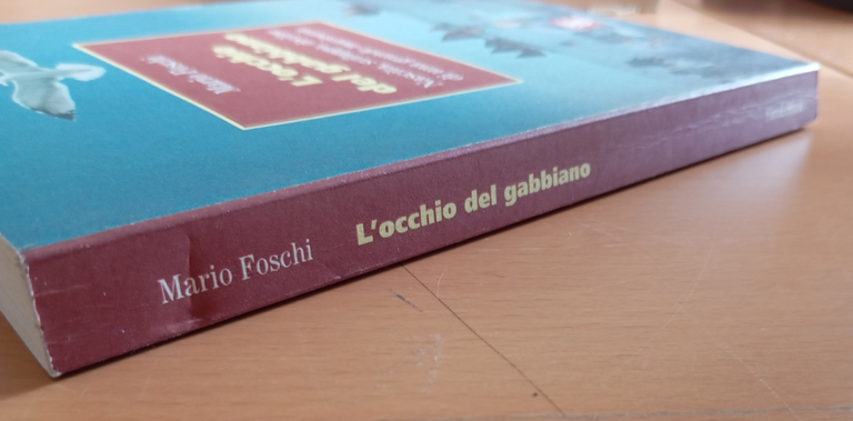 L'occhio del gabbiano Nascita sviluppo declino una grande marineria Mario …