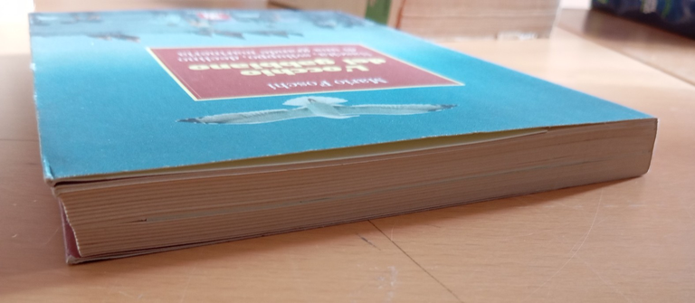 L'occhio del gabbiano Nascita sviluppo declino una grande marineria Mario …