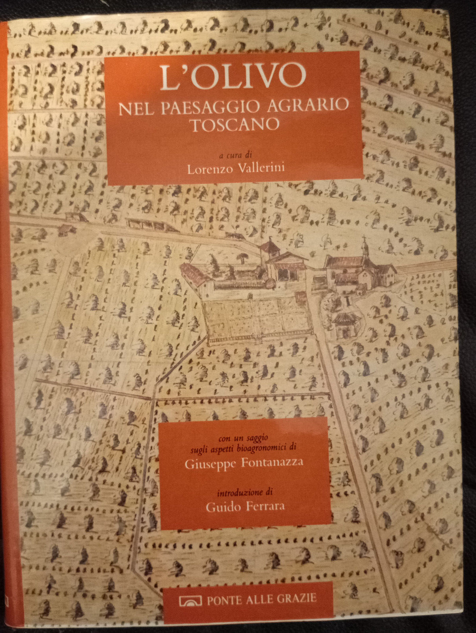 L'olivo nel paesaggio agrario toscano, Lorenzo Vallerini, Ponte alle grazie …