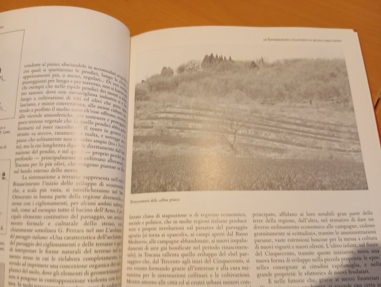 L'olivo nel paesaggio agrario toscano, Lorenzo Vallerini, Ponte alle grazie …