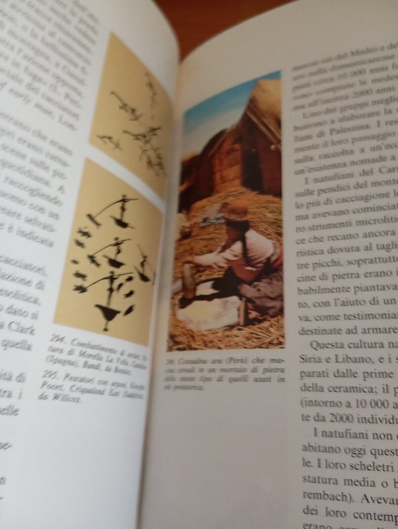 L'origine dell'Uomo, J. S. Weiner, Garzanti, I libri della natura, …