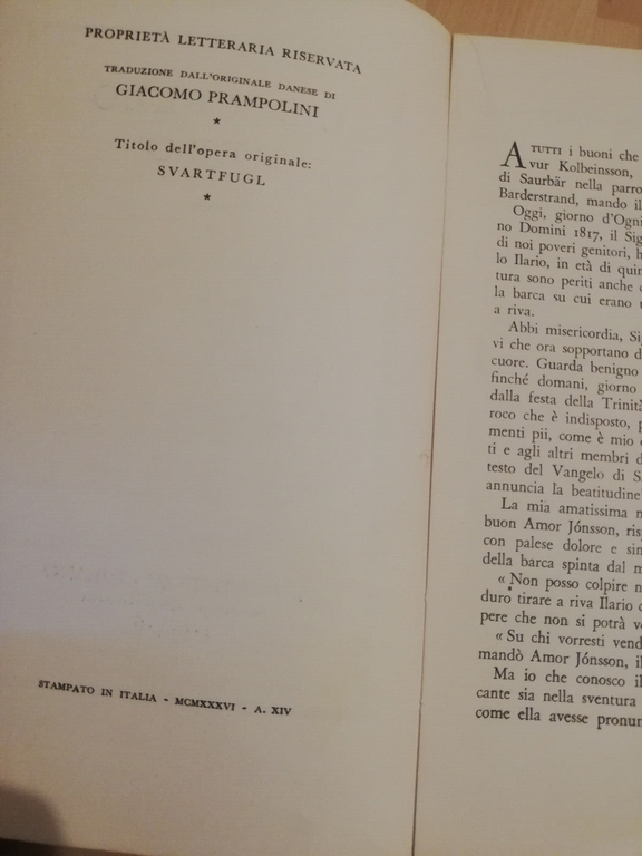 L'uccello nero, Gunnar Gunnarsson, 1936, Medusa Mondadori
