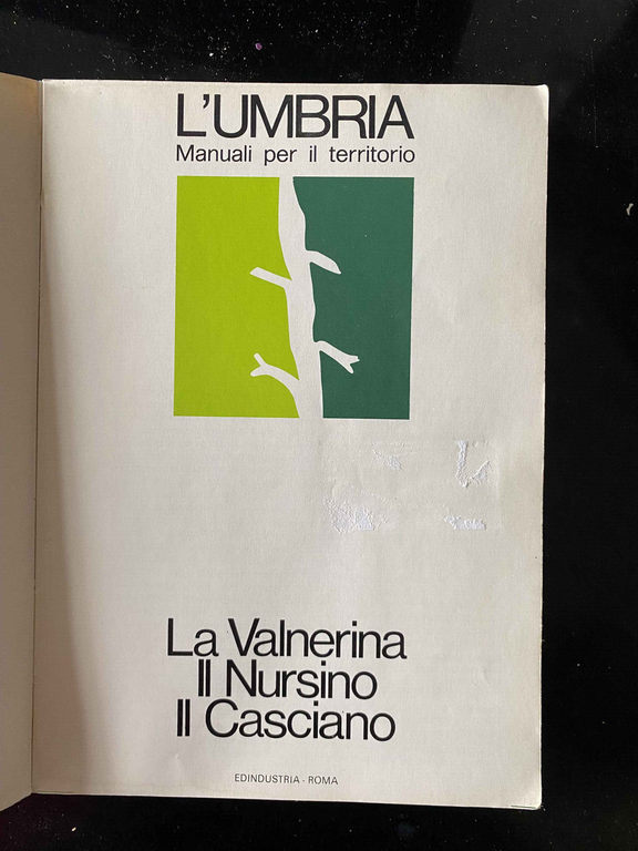 L'Umbria. Manuali per il territorio. Valnerina Nursino Casciano