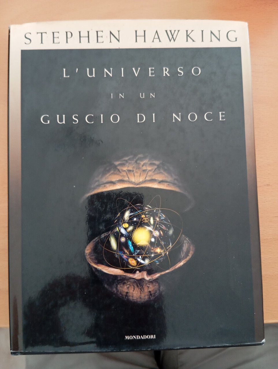 L'universo in un guscio di noce, Stephen Hawking, Mondadori, 2002