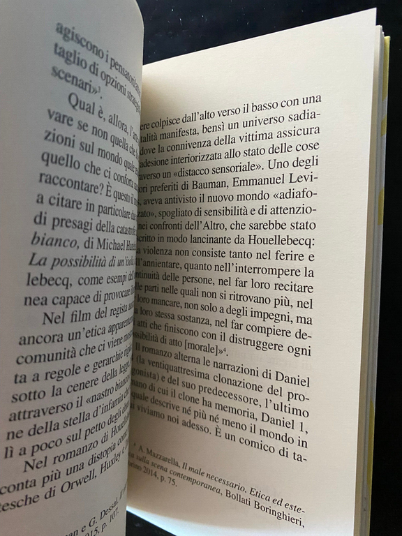 La bellezza (non) ci salverà, Agnes Heller, Zygmunt Bauman, Il …