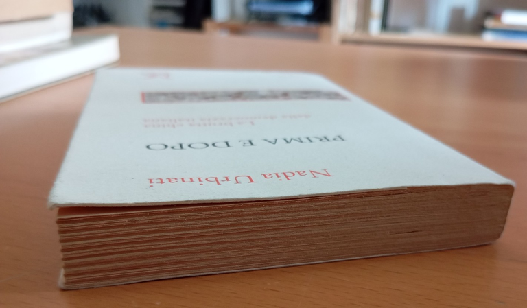 La brutta china della domocrazia italiana, Nadia Urbinati, Donzelli, 2011 | Immagine Gallery 3