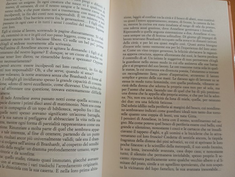 La casa, Lou Andreas-Salomé, Lucarini, 1989