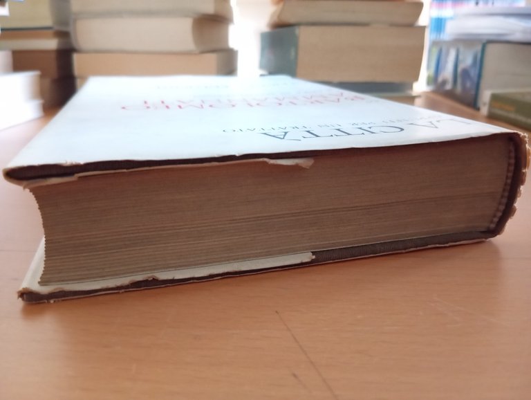 La città. Appunti per un trattato, Bartolomeo Ammannati, Officina Edizioni, … | Immagine Gallery 3