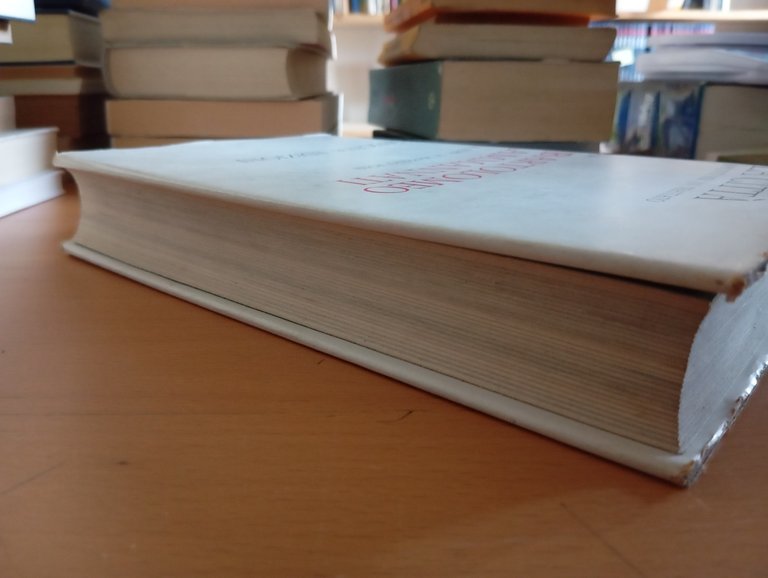 La città. Appunti per un trattato, Bartolomeo Ammannati, Officina Edizioni, … | Immagine Gallery 4