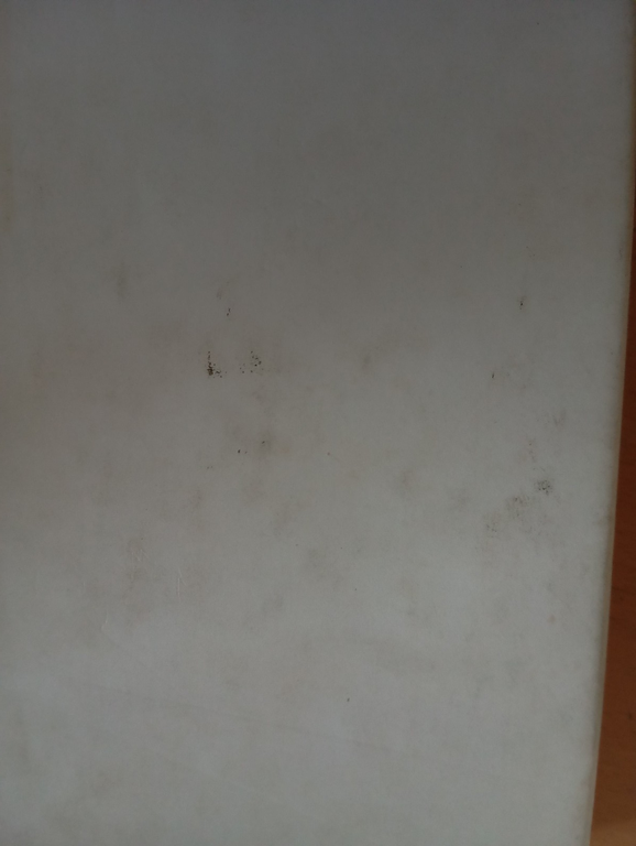 La città. Appunti per un trattato, Bartolomeo Ammannati, Officina Edizioni, … | Immagine Gallery 6