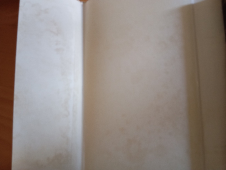 La città. Appunti per un trattato, Bartolomeo Ammannati, Officina Edizioni, … | Immagine Gallery 8