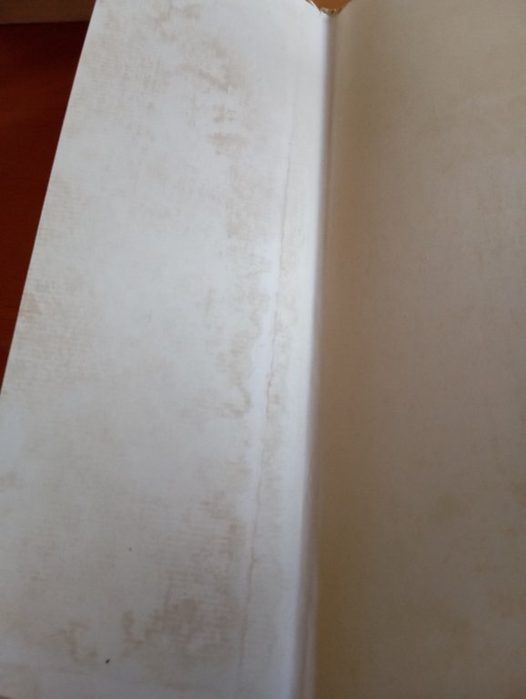 La città. Appunti per un trattato, Bartolomeo Ammannati, Officina Edizioni, … | Immagine Gallery 9