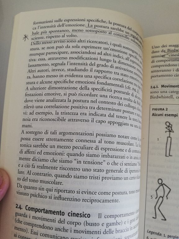 La comunicazione non verbale, Marino Bonaiuto, Fridanna Maricchiolo 2004 Carocci