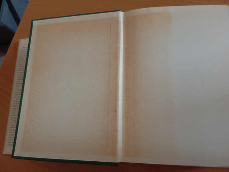 La crisi dell'aristocrazia. L'inghilterra, Lawrence Stone, Einaudi, 1972 | Immagine Gallery 9