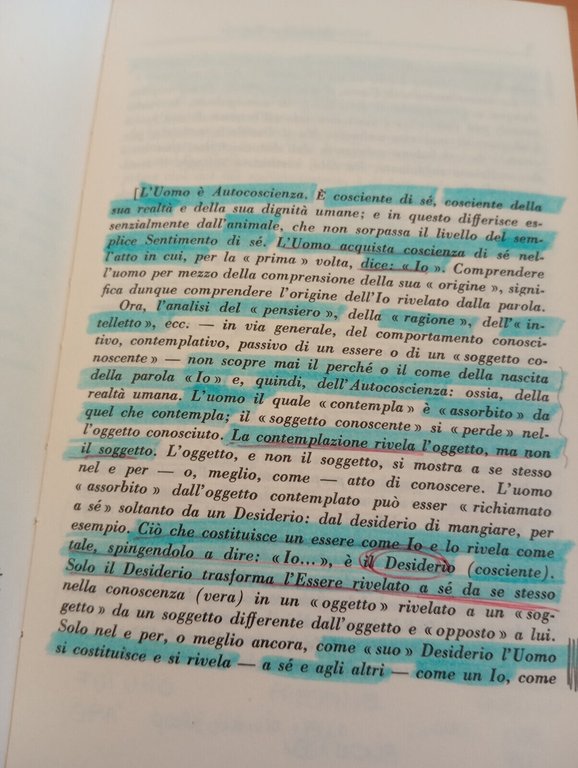 La dialettica e l'idea della morte in Hegel, Alexandre Kojeve, …