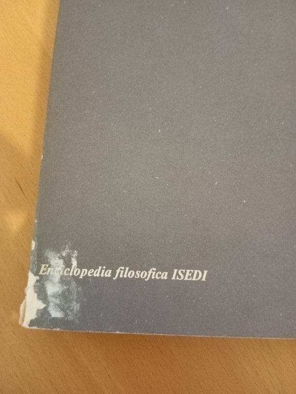 La dialettica, Livio Sichirollo, ISEDI, 1977 | Immagine Gallery 4