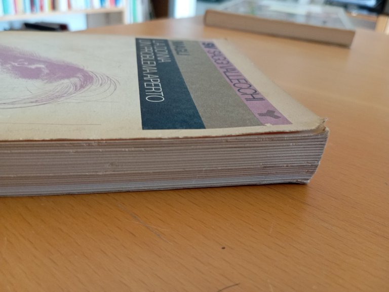 La donna un problema aperto, Ida Magli, Vallecchi, 1974 | Immagine Gallery 5