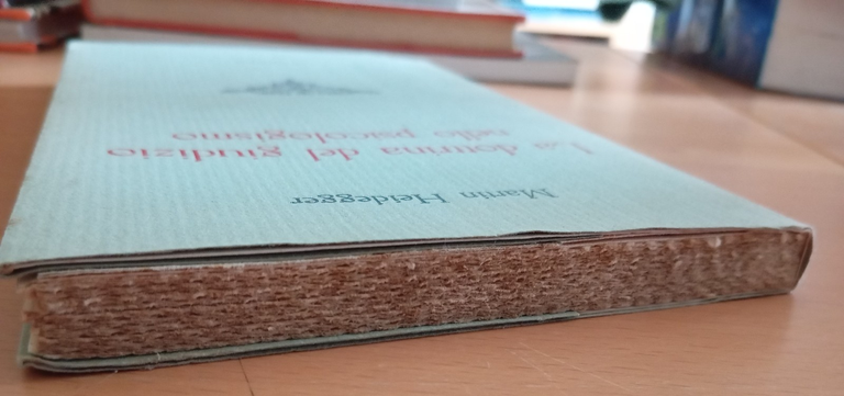 La dottrina del giudizio nella psicologismo, Martin Heidegger, La garangola … | Immagine Gallery 3