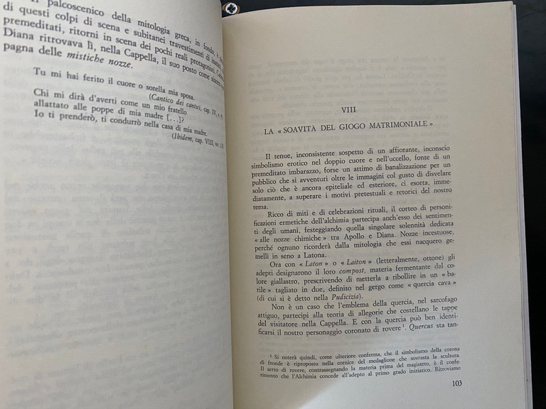 La favola alchemica di Raimondo di Sangro, Elviro Langella, Ippogrifo, …