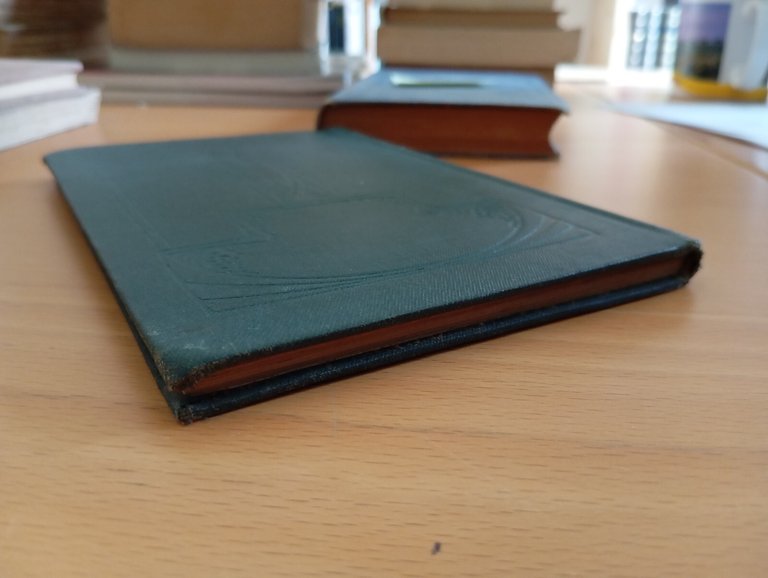 La felicità in un cantuccio, Ermanno Sudermann, Treves, 1900 | Immagine Gallery 7