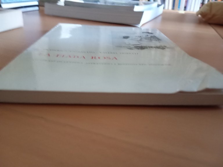 La fiaba rosa, Itinerari romanzi per signorine, Lazzarato Moretti, Bulzoni …