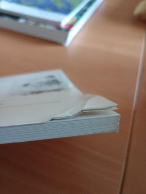 La fiaba rosa, Itinerari romanzi per signorine, Lazzarato Moretti, Bulzoni …