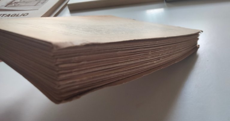 La fortuna di Carlo Goldoni e altri saggi, Nicola Mangini, …