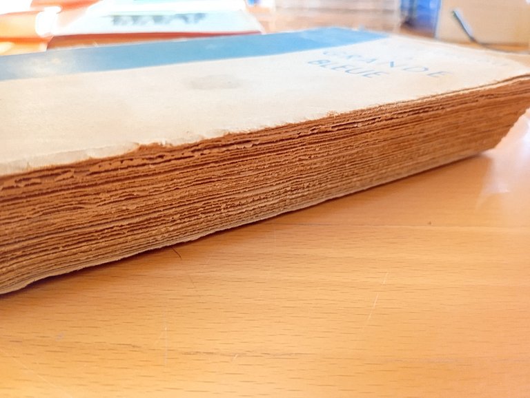 La grande bleue, Americo. Bertuccioli, Garzanti, 1941, in francese