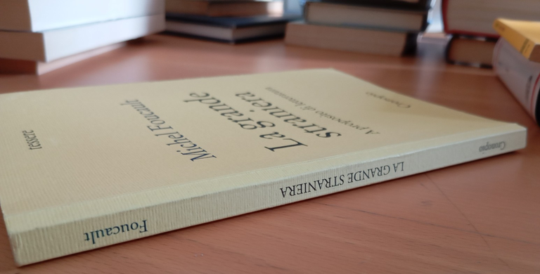 La grande straniera. A proposito di letteratura, Michel Foucault, 2015 | Immagine Gallery 2
