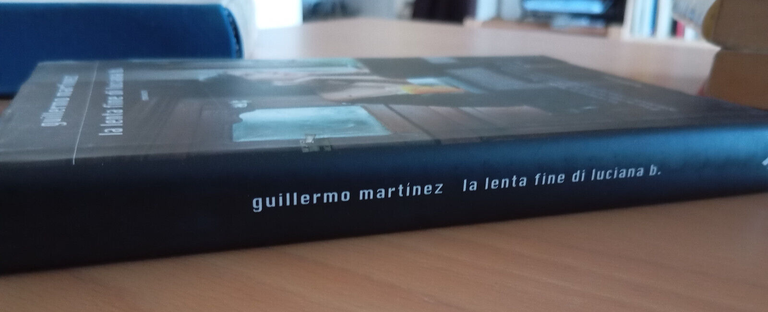 La lenta fine di Luciana b., Guillermo Martìnez, Mondadori, 2010