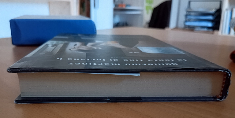La lenta fine di Luciana b., Guillermo Martìnez, Mondadori, 2010