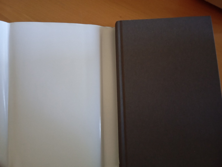 La lenta fine di Luciana b., Guillermo Martìnez, Mondadori, 2010