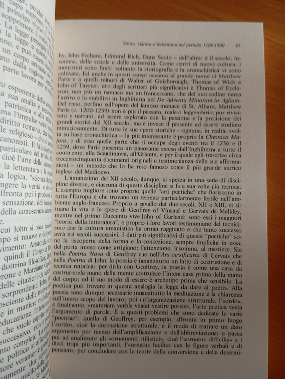 La letteratura del Medioevo inglese, Piero Boitani, La Nuova Italia, … | Immagine Gallery 7