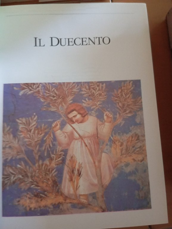 La letteratura Italiana, 8 volumi, Enzo Siciliano, Curcio