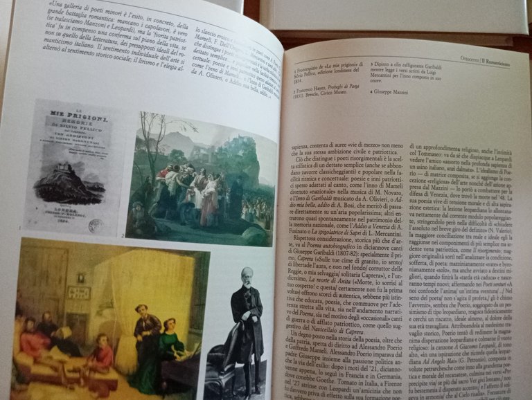 La letteratura Italiana, 8 volumi, Enzo Siciliano, Curcio