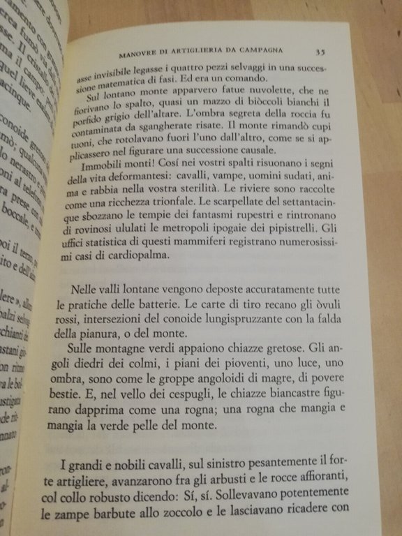 La madonna dei filosofi, Carlo Emilio Gadda, Einaudi, 1975