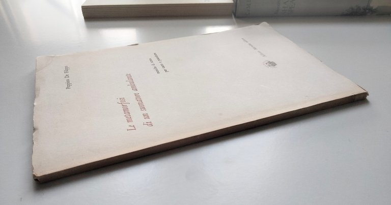 La metamorfosi di un suonatore ambulante, Peppino De Filippo, Marotta, …