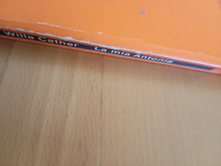La mia Antonia, Willia Cather, La tartaruga, 1985