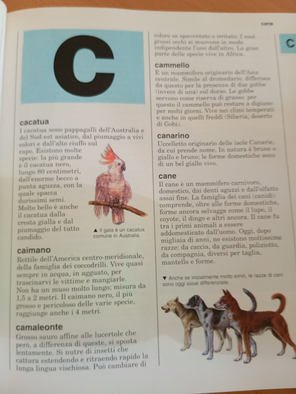 La mia prima enciclopedia degli animali, Vallardi, 1995