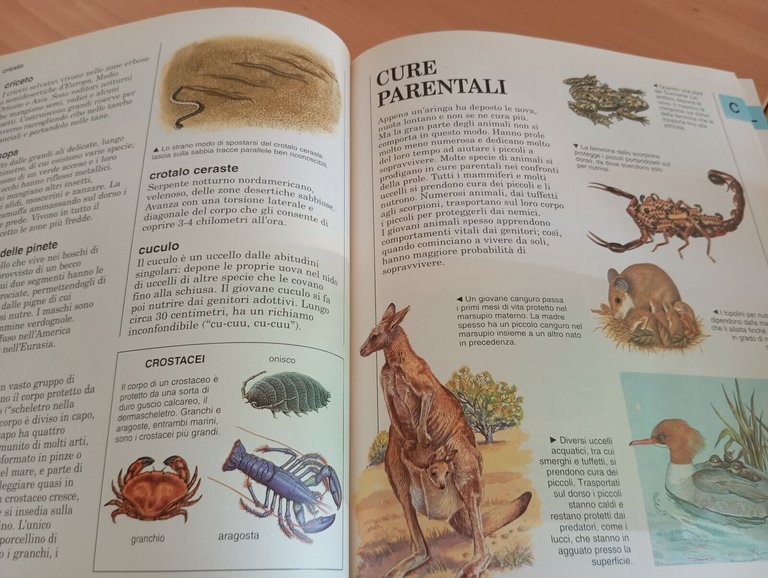 La mia prima enciclopedia degli animali, Vallardi, 1995